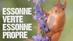 Nettoyage d’automne