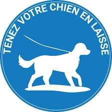 Divagation animale